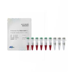 2X <i>Accurate Taq</i> 预混液（含染料）II