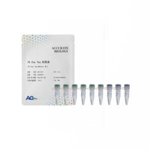 2X <i>Exp Taq</i> 预混液 Ver.2