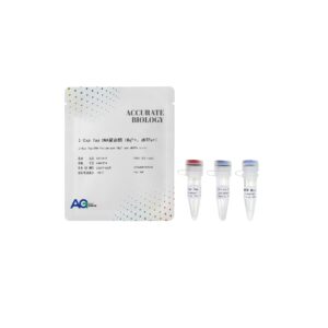 <i>L-Exp Taq</i>  DNA 聚合酶（Mg<sup>2+</sup>+、dNTPs+）