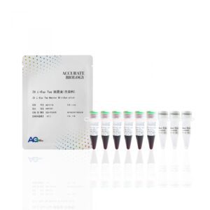 2X <i>L-Exp Taq</i> 预混液（含染料）