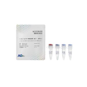 <i>L-Exp Taq</i> HS DNA 聚合酶（Mg<sup>2+</sup>-、dNTPs+）