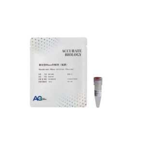 重组型 RNase 抑制剂(猪源)