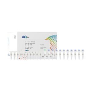 <i>E.coli</i> DH5α 感受态细胞