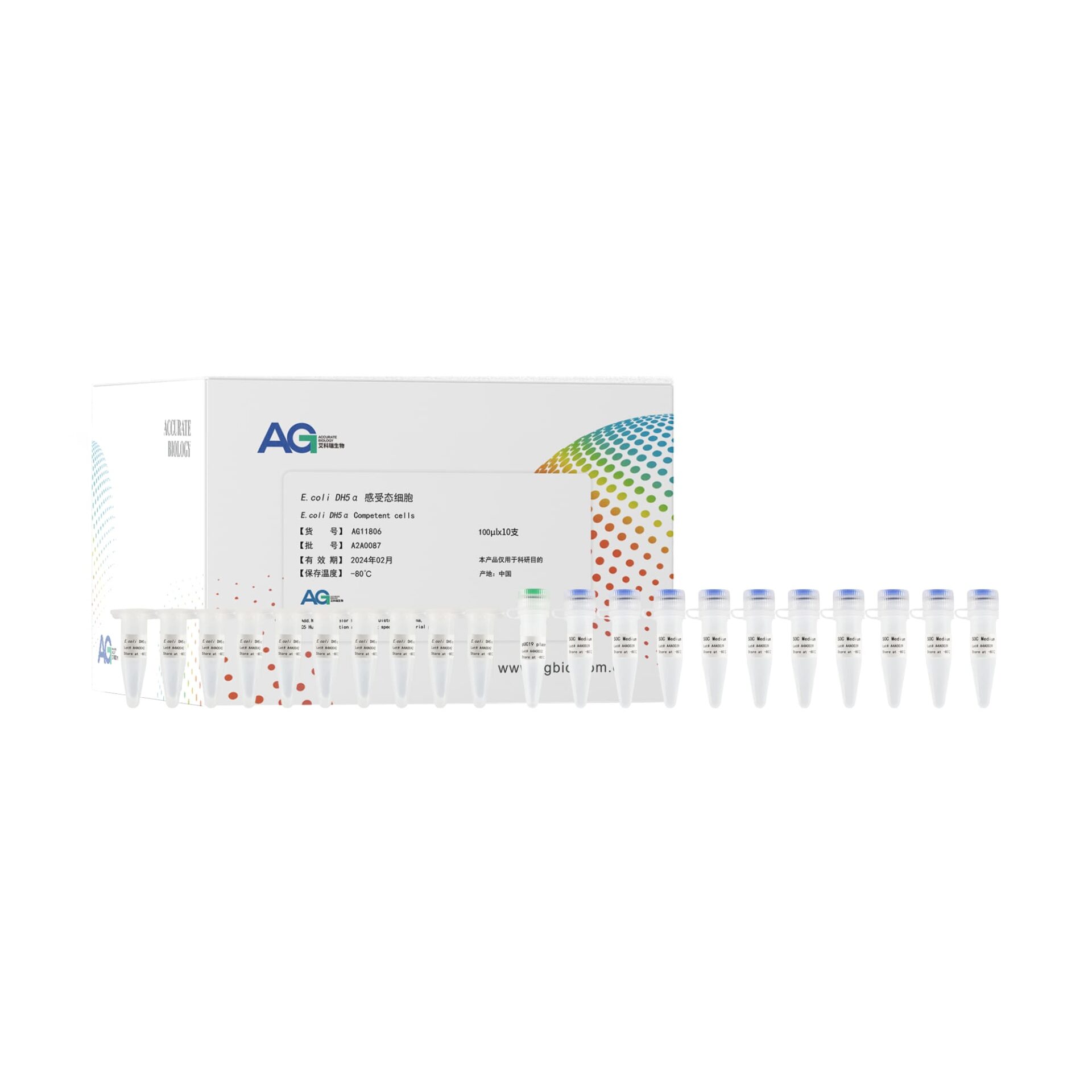 <i>E.coli</i> DH5α 感受态细胞