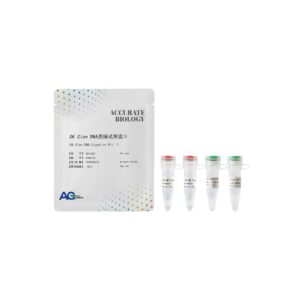<i>OK Clon</i> DNA 连接试剂盒 II