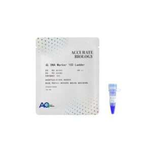 <i>GL</i> DNA Marker 100 Ladder