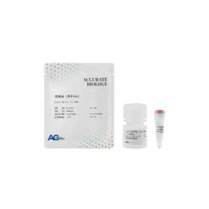 裂解液（用于 PCR）