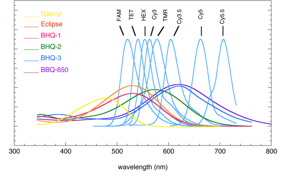 图片1-600×373 图片1-600x373