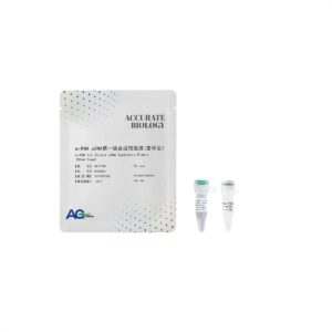 miRNA cDNA 第一链合成预混液(茎环法)