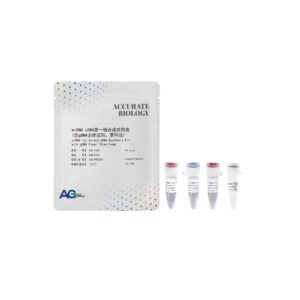 miRNA cDNA第一链合成试剂盒 (含 gDNA 去除试剂,茎环法)