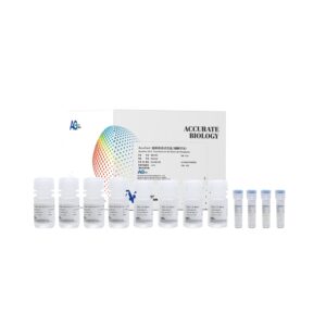 <i>AccuFect</i> 细胞转染试剂盒（磷酸钙法）