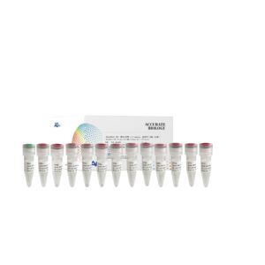 <i>AccuNext</i> CDI 接头引物（Illumina，适用于 DNA 文库）